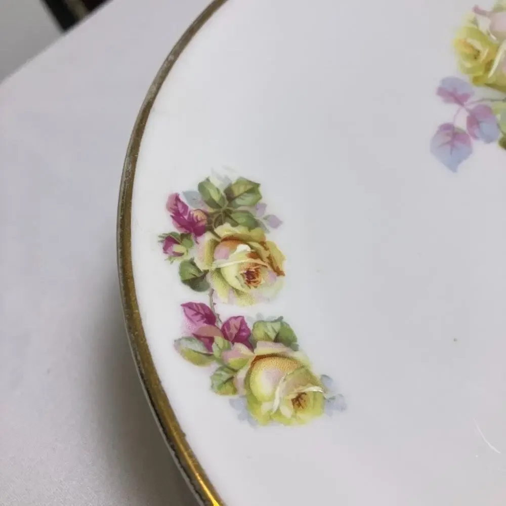 Antique C.T. Altwasser Plate Germany Hand Painted Rose Gold Trim Platter 8.25”